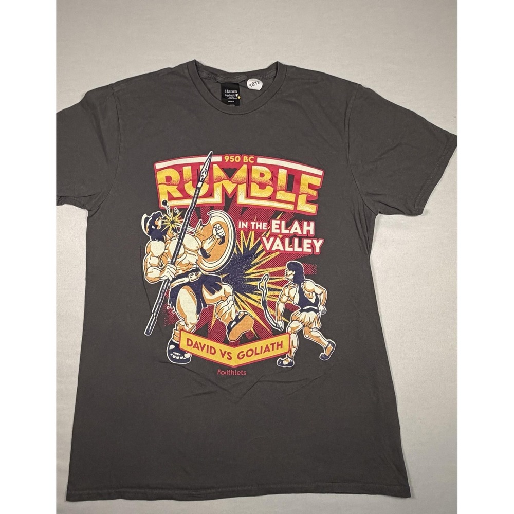 Hanes Shirt Mens Medium Gray Rumble Elah Valley David Vs Goliath Graphic Tee